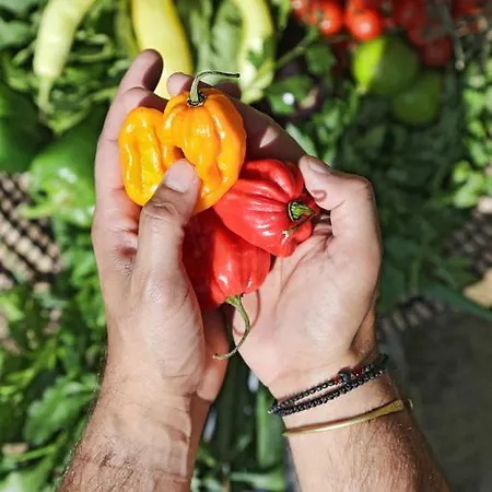 Hotel Livin Mykonos - Adults Only