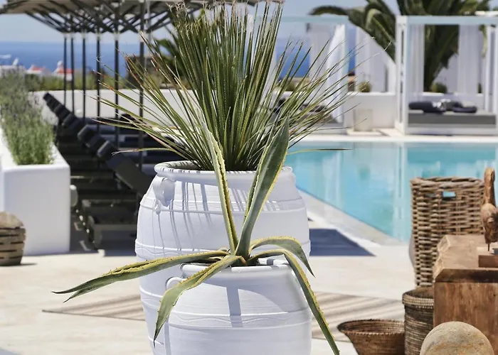 Livin Mykonos - Adults Only 酒店