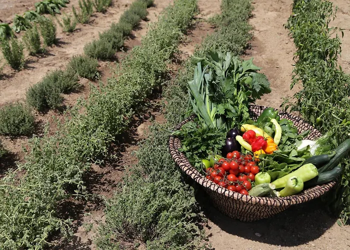 Livin Mykonos - Adults Only 酒店