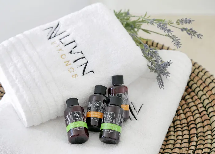 Livin Mykonos - Adults Only Hotel